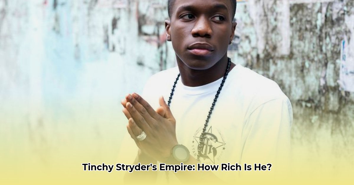 tinchy-stryder-net-worth